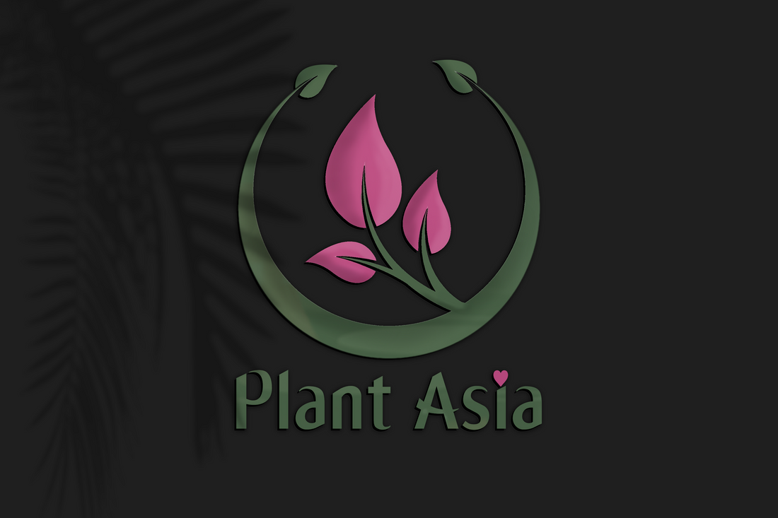 The Importance of a Custom Logo for Your Small Business