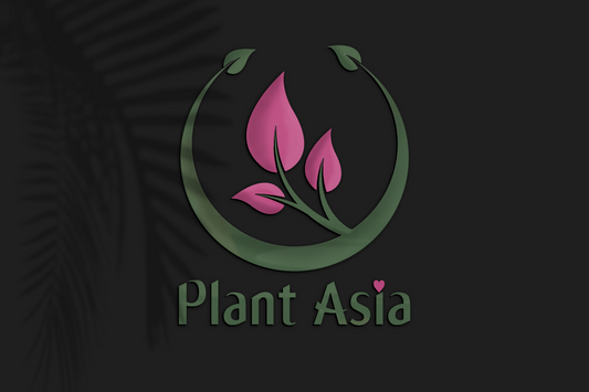 The Importance of a Custom Logo for Your Small Business