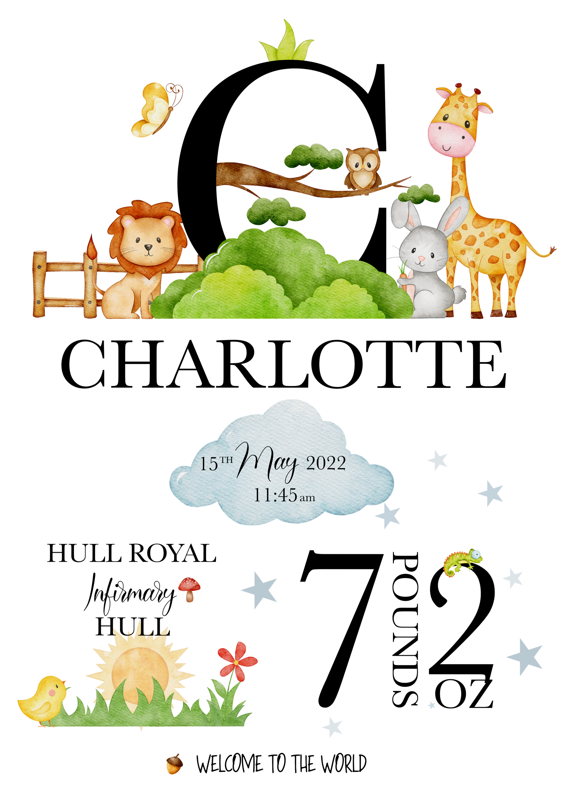 A delightful personalised newborn print celebrating the arrival of a precious bundle of joy. The print features a charming design. In the centre, the baby's name, takes pride of place in elegant typography. Surrounding the name are details of the birth, including the weight at birth, the time of birth , and the special location of birth. Adorned with whimsical illustrations, and baby essentials, this keepsake captures the enchanting moment of a new life entering the world.