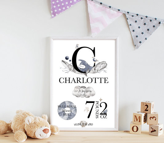 Personalised Newborn Baby Gift With Birth Details - Seagull Sailor Theme