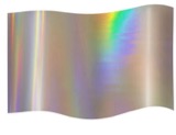 Silver Holographic